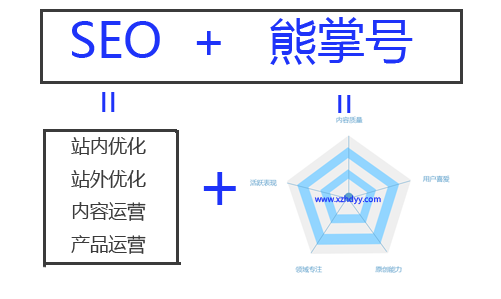 石家庄熊掌号运营
