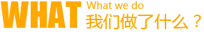 石家庄网站建设